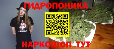 крисы Комсомольск-на-Амуре